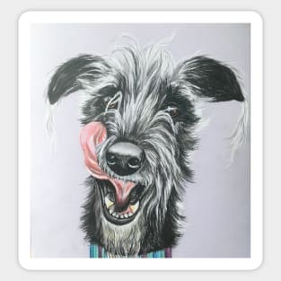 Cheeky scruffy Lurcher Sticker